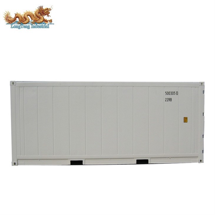20ft Carrier Refrigerated Container