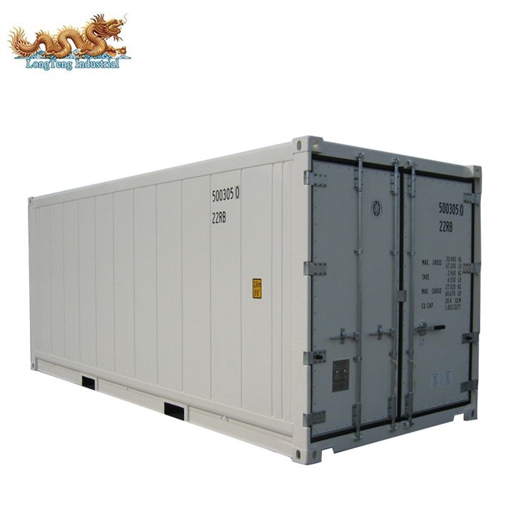 20ft Carrier Refrigerated Container